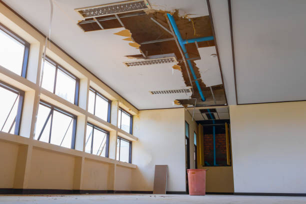 Best Local water damage restoration  in Woodacre, CA