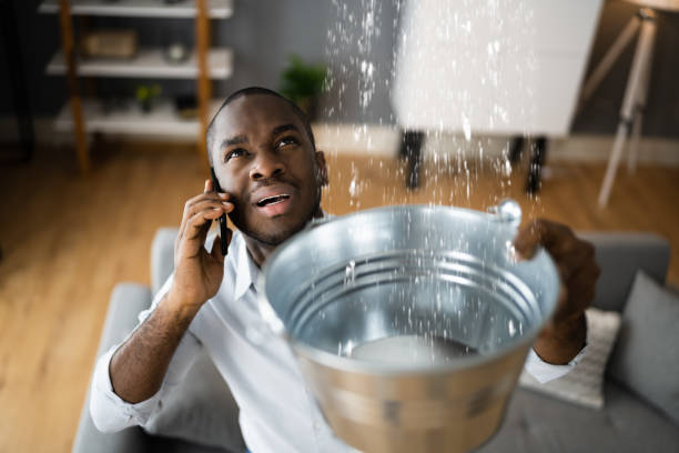Best Flood restoration services  in Woodacre, CA