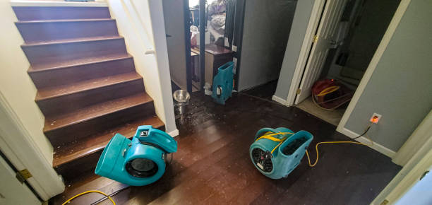 Best Water damage restoration near me  in Woodacre, CA