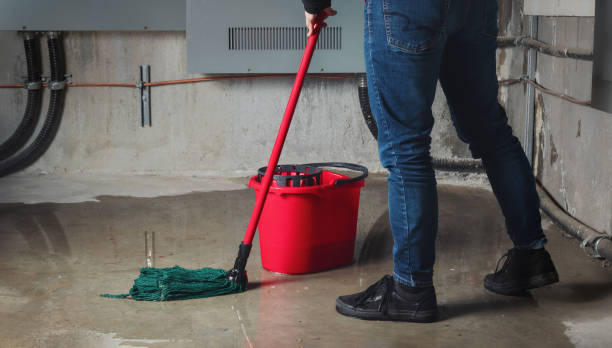 Best Flooded house restoration  in Woodacre, CA