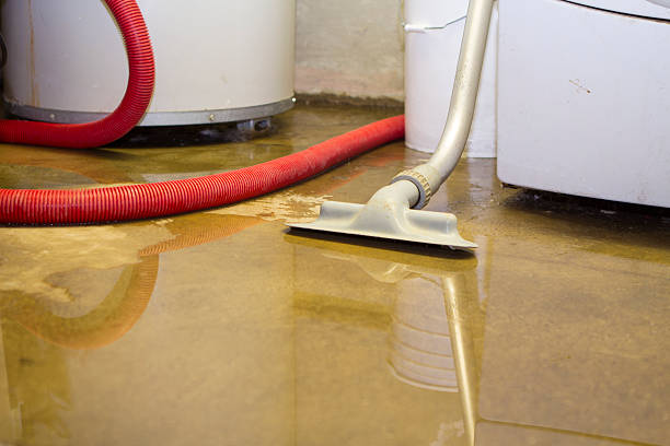 Best Water damage restoration company  in Woodacre, CA