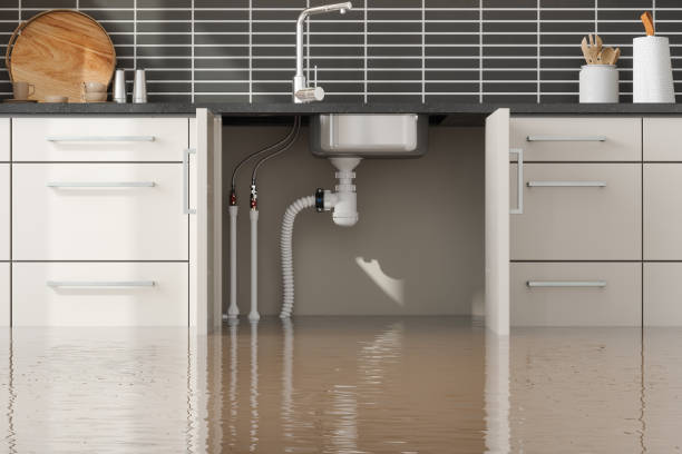 Best Commercial water damage restoration  in Woodacre, CA