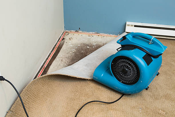 Best Ceiling water damage repair  in Woodacre, CA